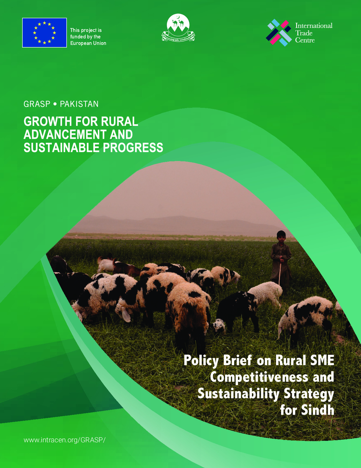 policy_brief_on_rural_sme_competitiveness_and_sustainability_strategy_for_balochistan_copy_0