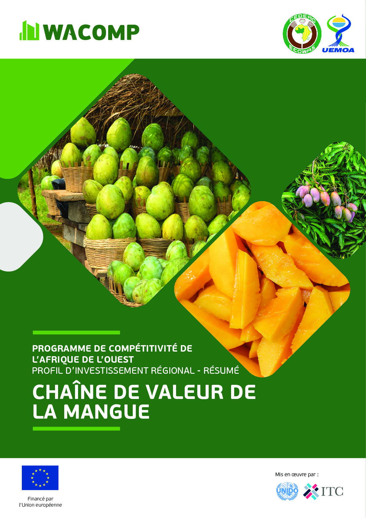 mango_-_ecowas_investment_brochure_fr