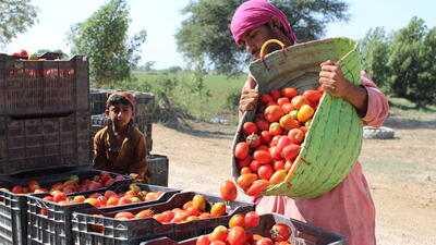 Cluster of financial institutions in Pakistan lift rural farming business 2