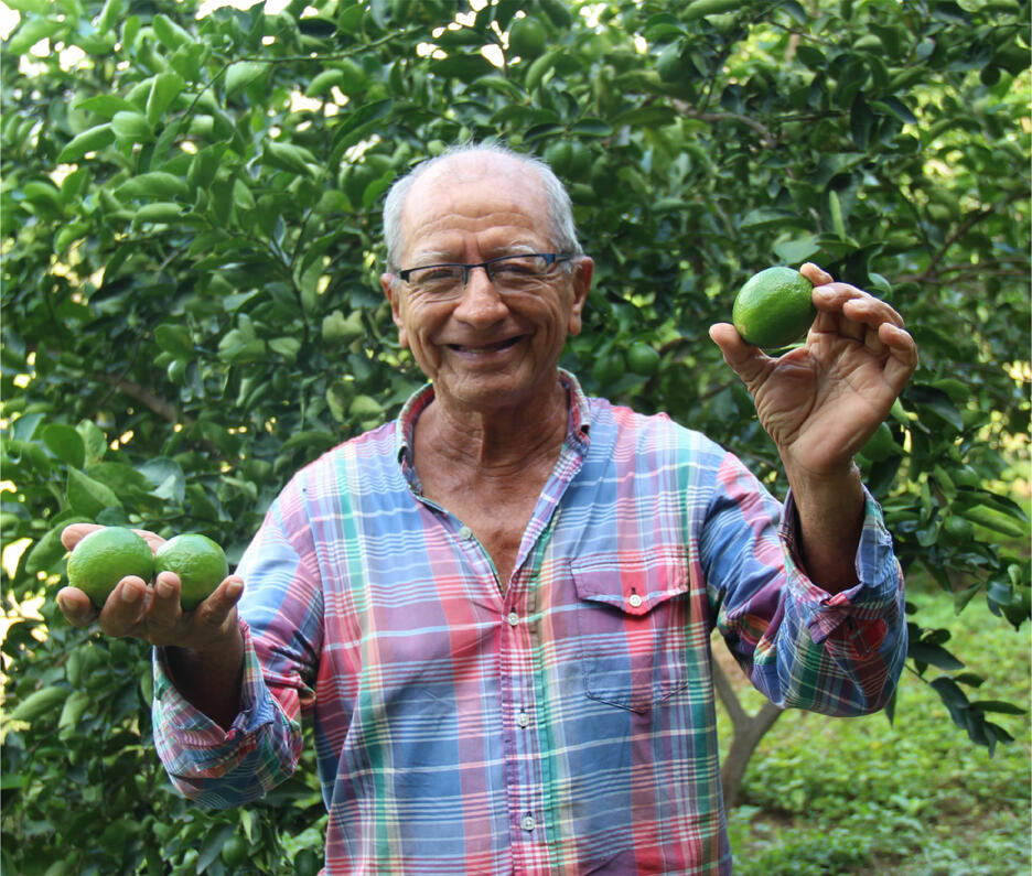 Tahiti lime producer 