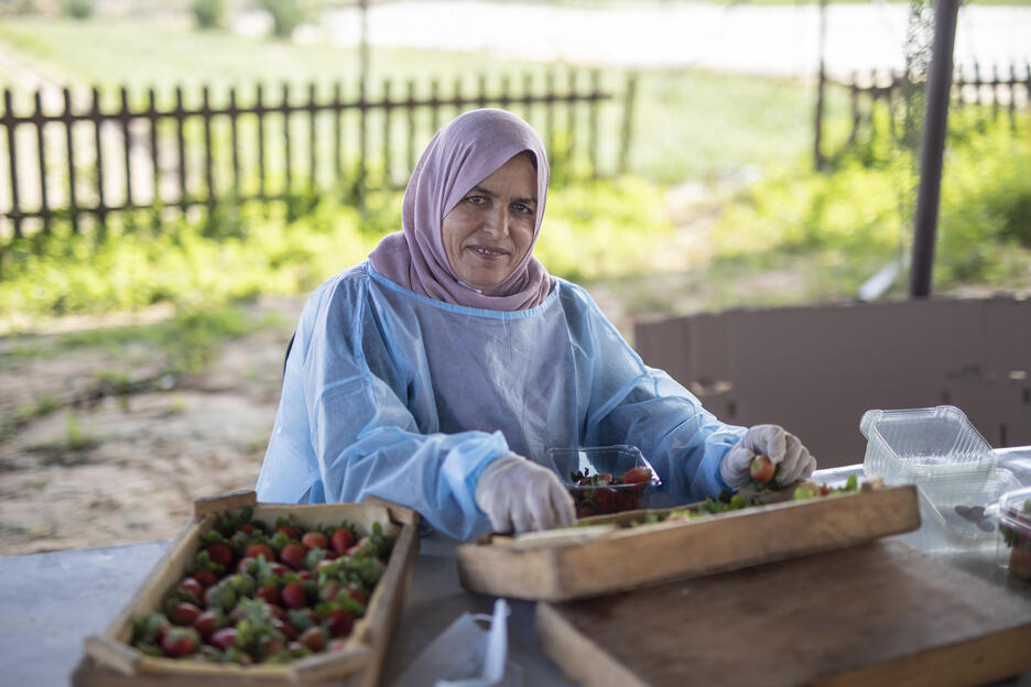 Palestine strawberries woman