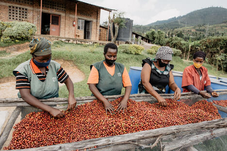 Tropic Coffee Rwanda women