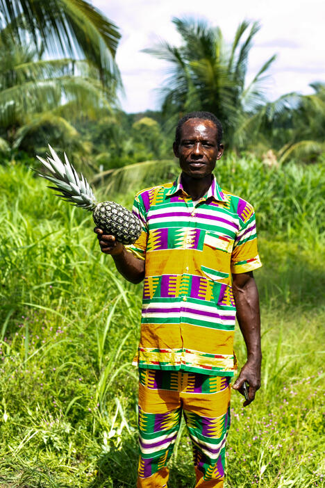 Farmer stands in pineapple field in kente style clothing in Ghana