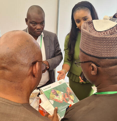 Three men and one woman look at publication that reads cassava on the cover