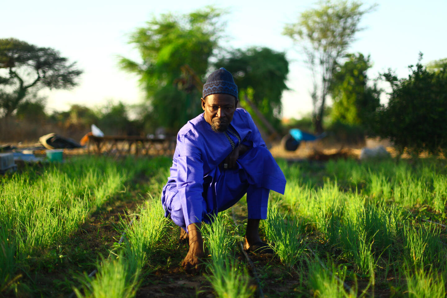 cooperative Senegal agriculture