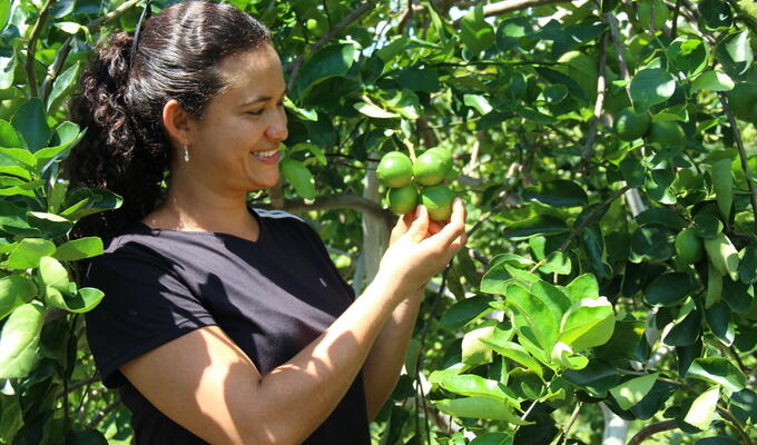 Mujer sudamericana sonriente mirando hacia la derecha, sosteniendo un racimo de limas verdes delante de un follaje verde y frondoso.