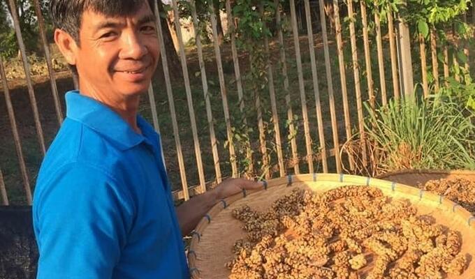 Story: Organic coffee farmers in Lao PDR adapt to climate change, pests through training 2