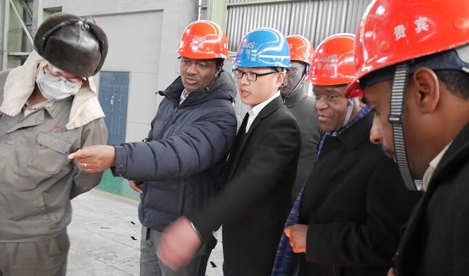 African delegation visit factory in China