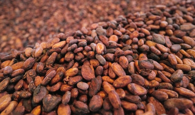 A4A Cocoa - beans
