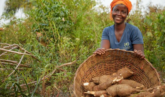 Farmer in Sierra Leone stands in field with basket of cassava roots