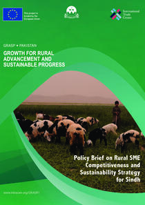 policy_brief_on_rural_sme_competitiveness_and_sustainability_strategy_for_balochistan_copy_0