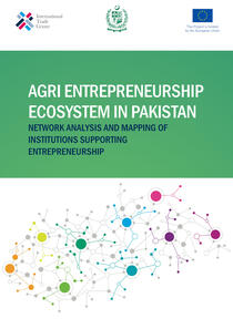 entrepreneurship_ecosystem_mapping_pakistan_final_report_new