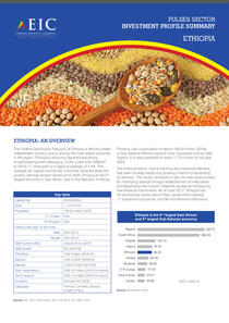 ethiopia_pulses_4pager_20201016_web_pages