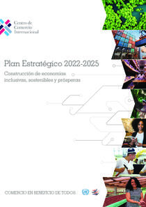 strategic_plan_2022_2025_-_feb01_es