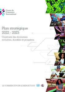 strategic_plan_2022_2025_-_feb01_fr