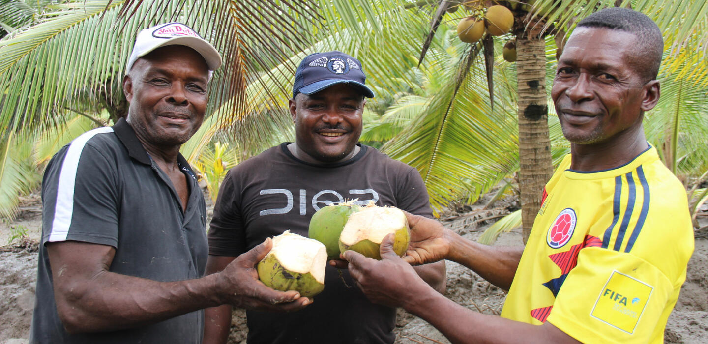 Coconut producers from Nueva Esperanza association reincorporated in civilian life  