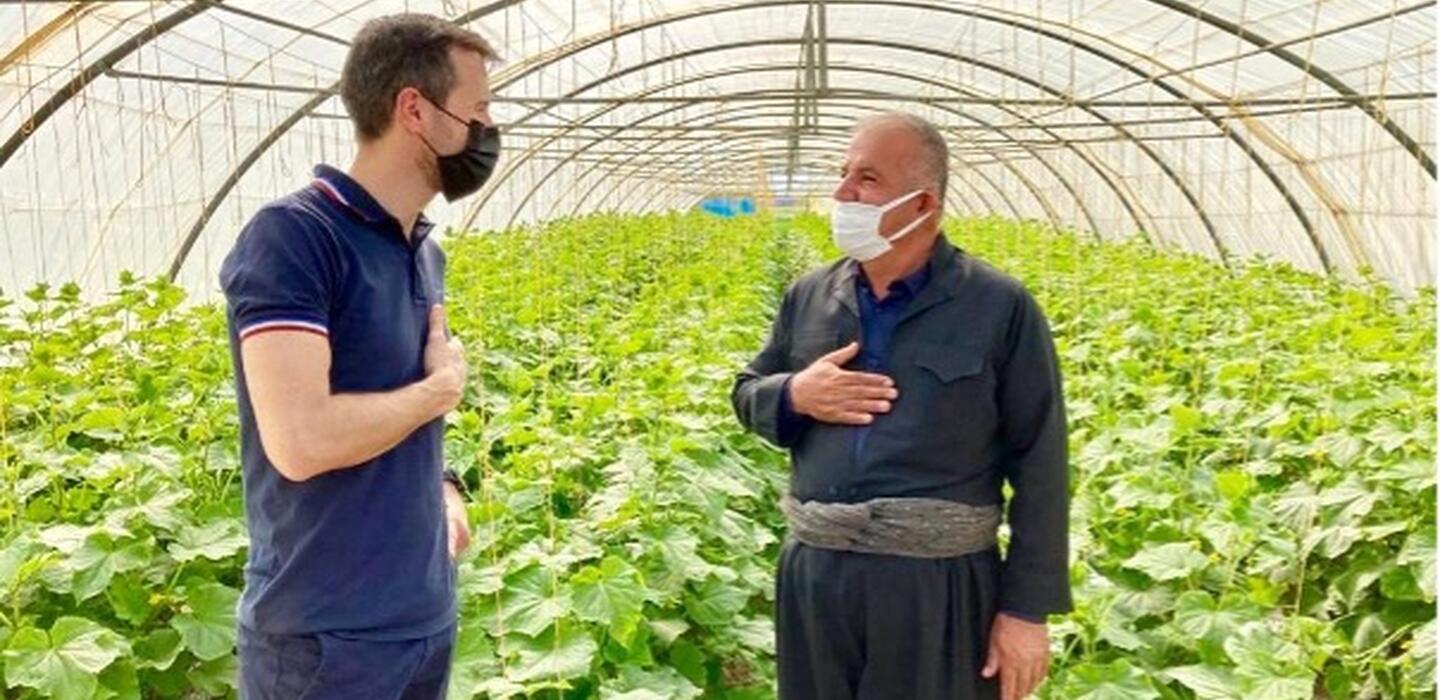 Mr. Eric Buchot, Head of Programme and producer in a greenhouse in Mosul 