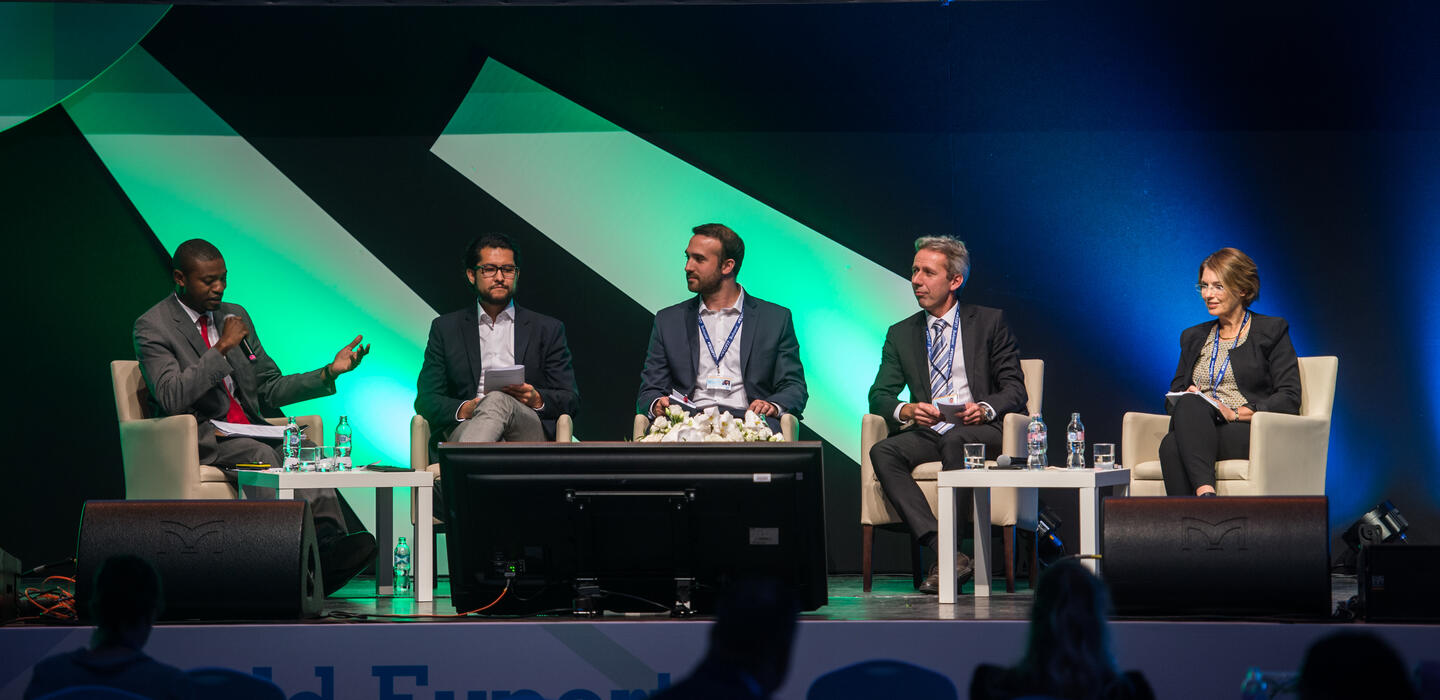 Panel discussion at WEDF 2017 in Budapest, Hungary