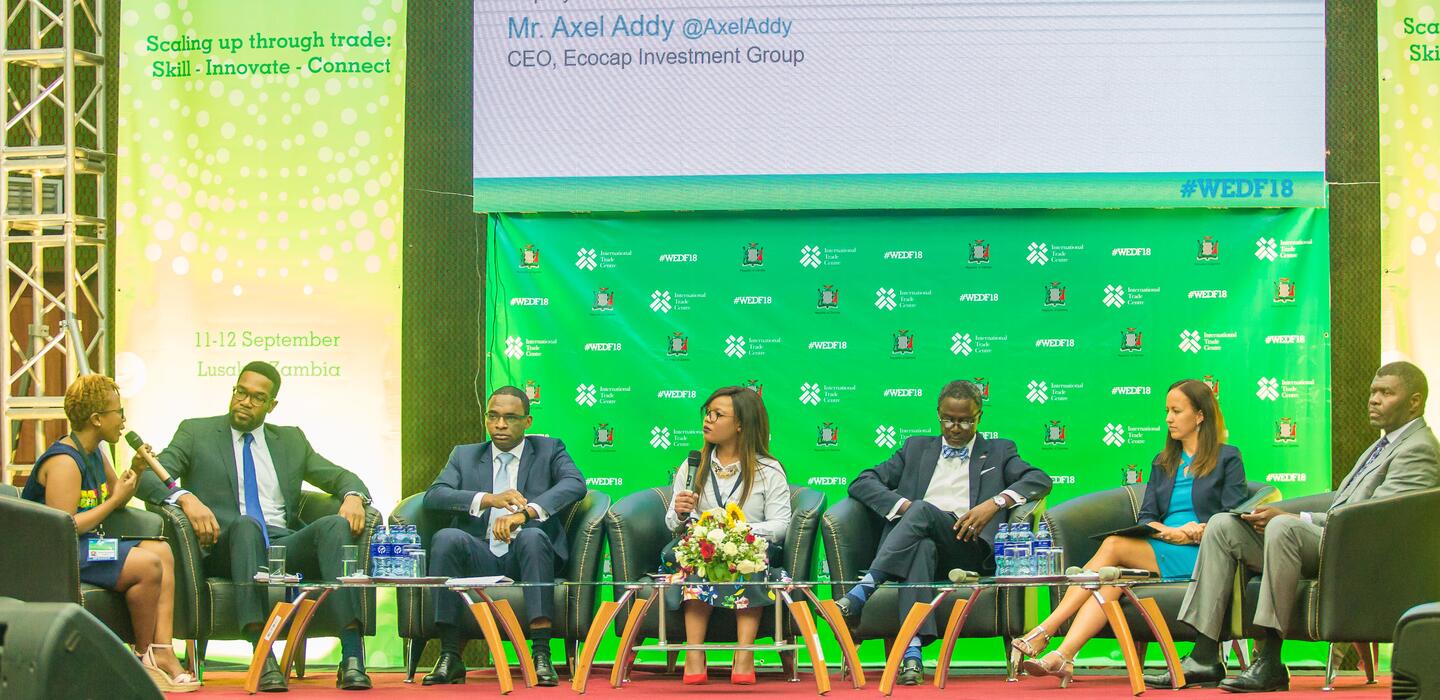Panel in discussion at the WEDF 2018 in Lusaka