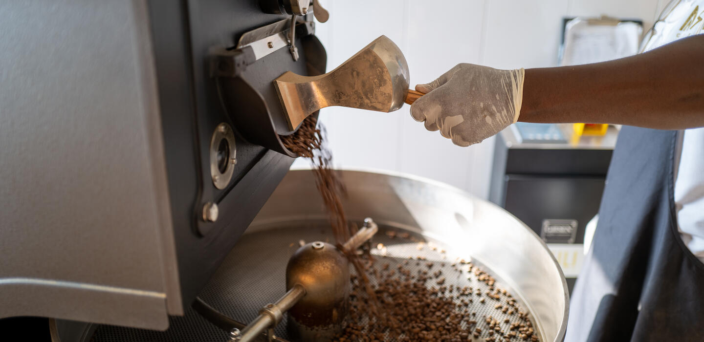 Coffee beans passing through roaster