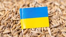 Small Ukrainian flag against a backdrop of grain