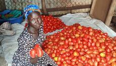South Sudanese woman sits with phone next to pile of tomatoes at market